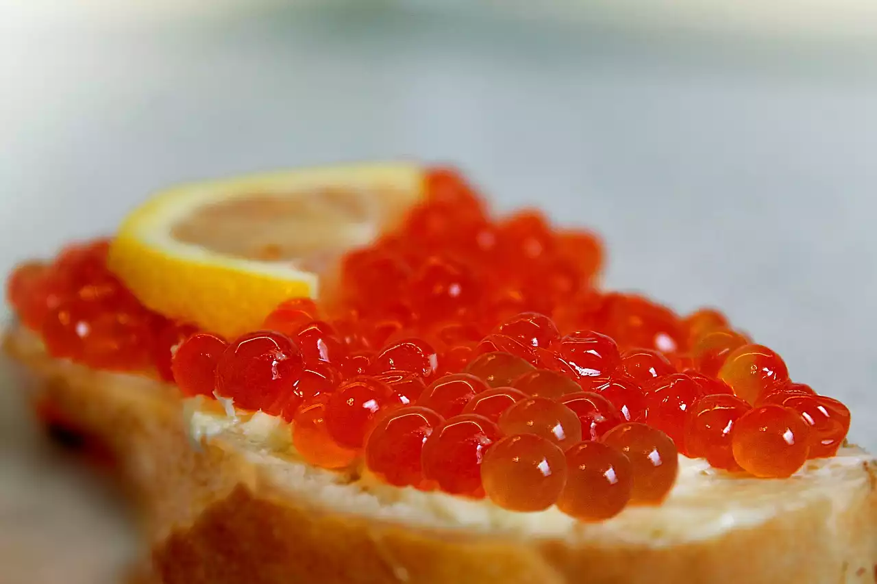 In che modo il cibo francese è diventato lo standard dei buongustai?